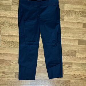 Ann Taylor Carnegie Crop Women's Trouser Pants Navy Blue Size 8